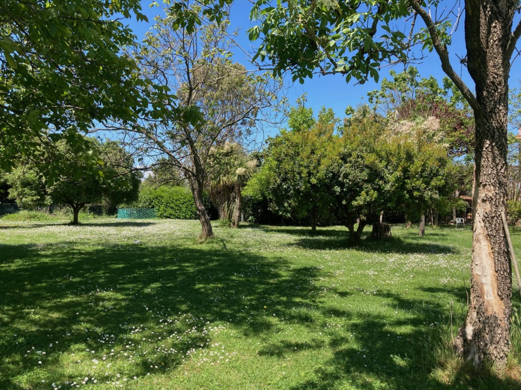 Foto: Unifamiliare Villa in VENDITA a Sarzana BRADIOLA - 5