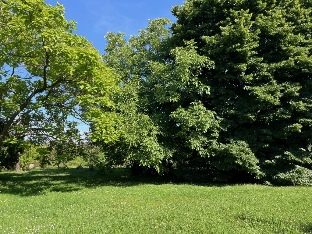 Foto: Unifamiliare Villa in VENDITA a Sarzana BRADIOLA - 26