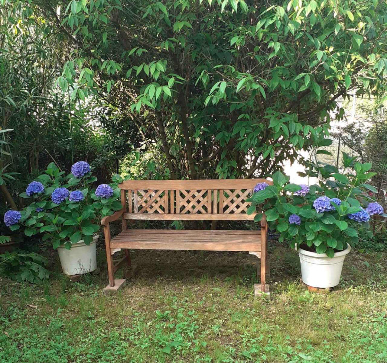 Foto: Appartamento in VENDITA a Ameglia  - 14