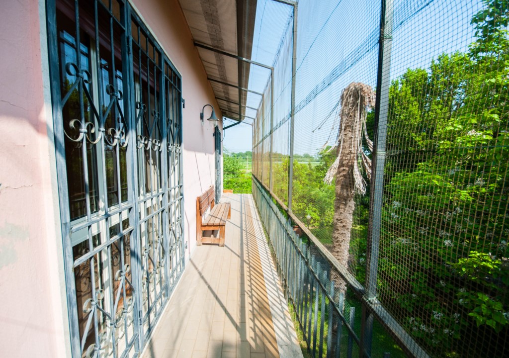 Foto: Unifamiliare Villa in VENDITA a Sarzana BRADIOLA - 12