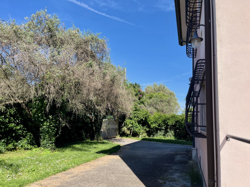 Foto: Unifamiliare Villa in VENDITA a Sarzana BRADIOLA - 19