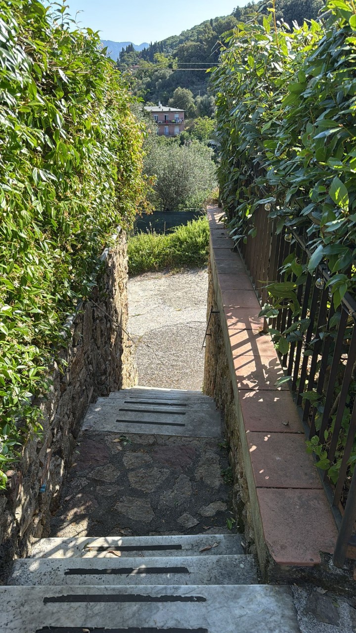 Foto: Appartamento in AFFITTO a Lerici PUGLIOLA - 9