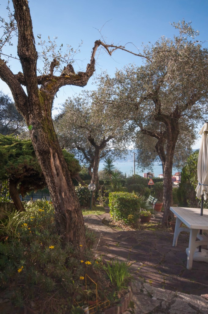 Foto: Appartamento in VENDITA a Lerici CENTRO - 18