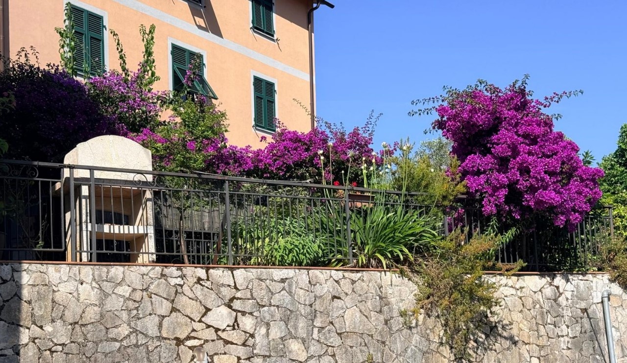 Foto: Appartamento in AFFITTO a Lerici PUGLIOLA - 22
