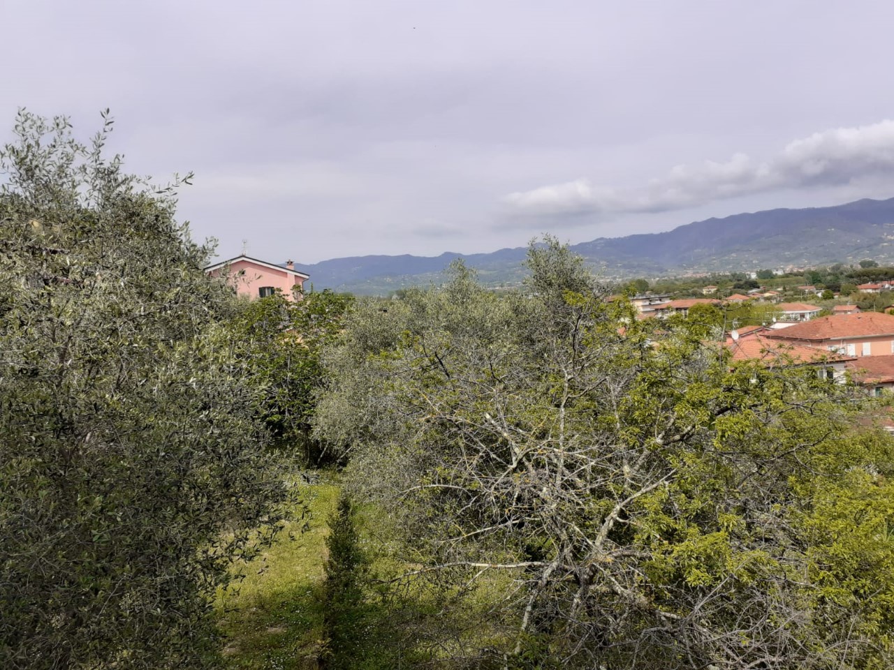 Foto: Appartamento in VENDITA a Ameglia  - 2