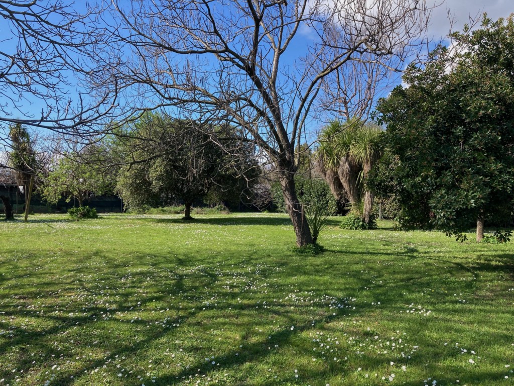 Foto: Unifamiliare Villa in VENDITA a Sarzana BRADIOLA - 38