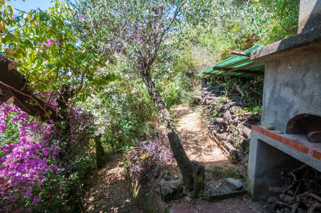 Foto: Appartamento in VENDITA a Lerici CENTRO - 5