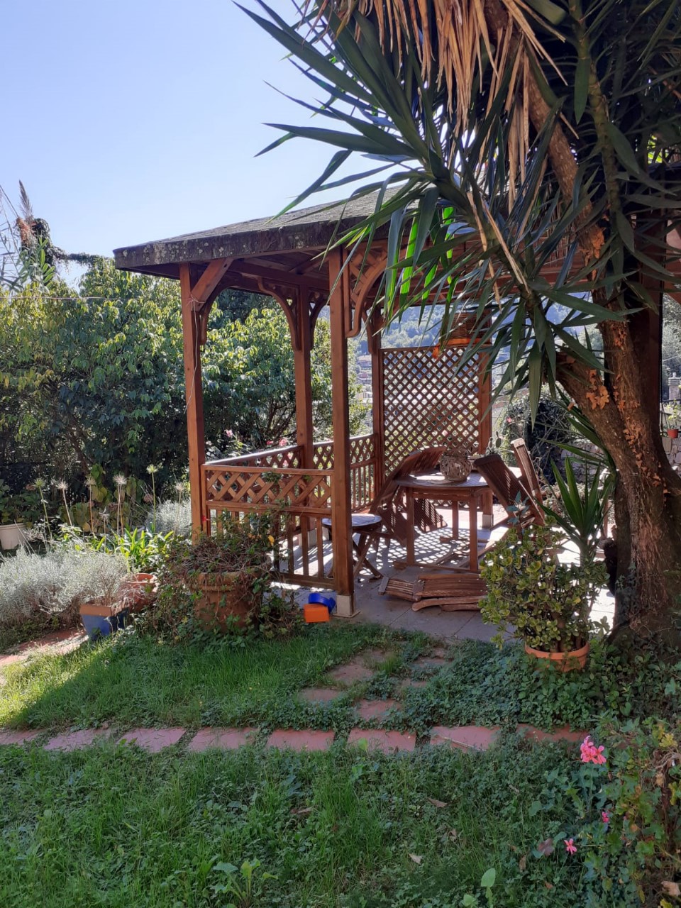 Foto: Appartamento in VENDITA a Ameglia  - 4