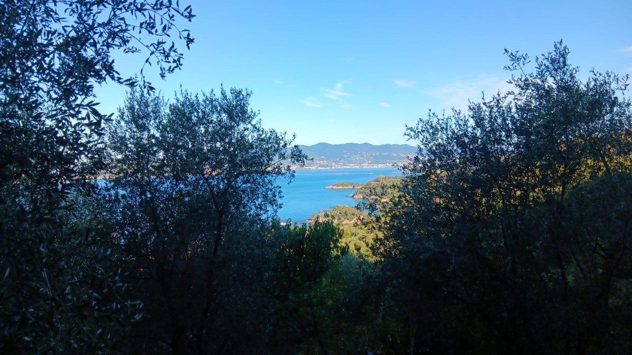 Rustico-Casolare-Cascina in VENDITA a Lerici TELLARO