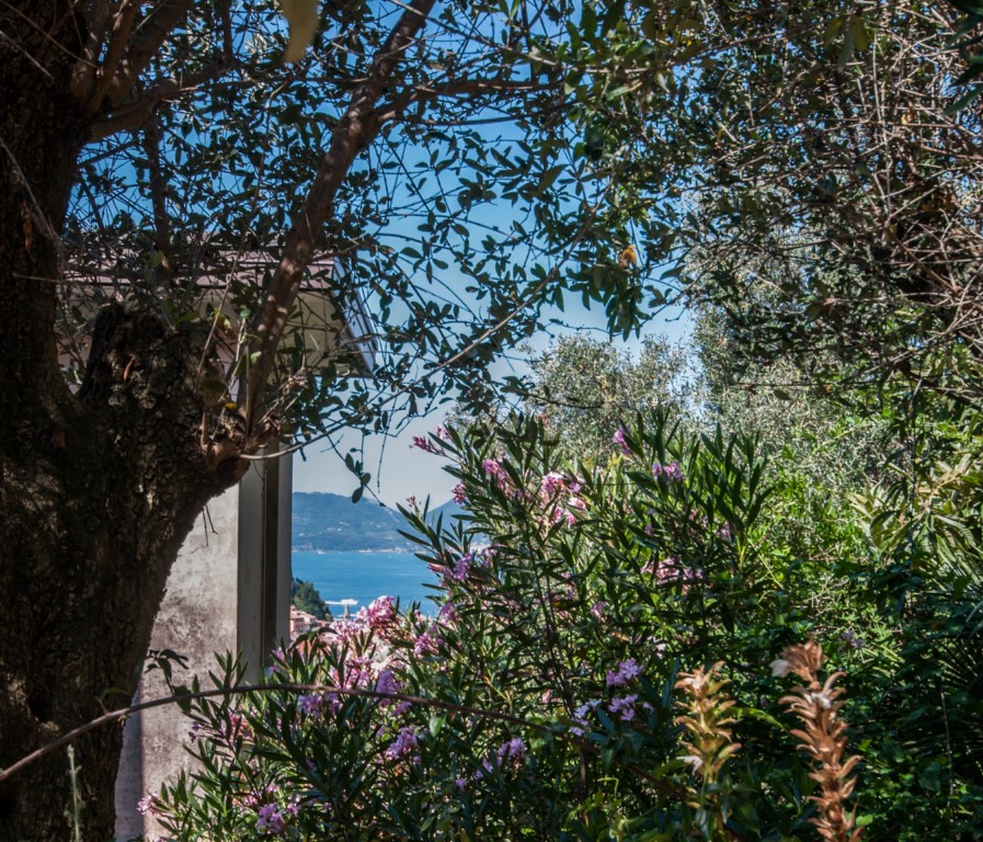 Foto: Appartamento in VENDITA a Lerici CENTRO - 17
