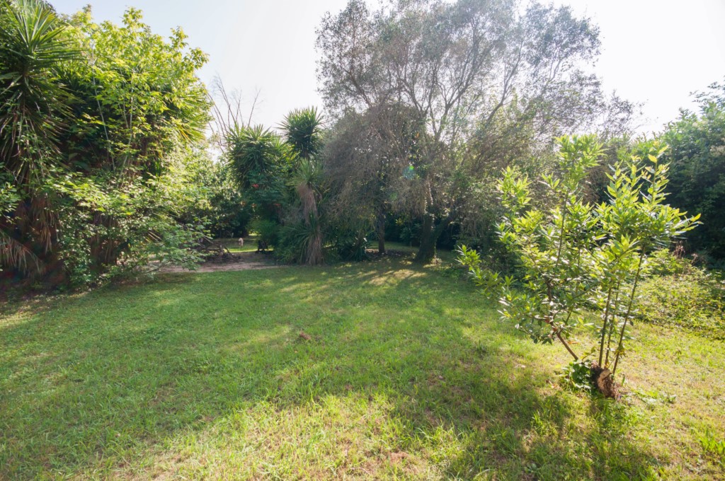 Foto: Unifamiliare Villa in VENDITA a Sarzana BRADIOLA - 17