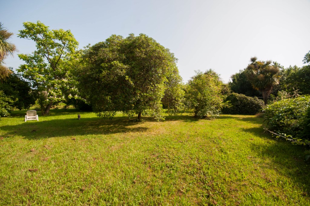 Foto: Unifamiliare Villa in VENDITA a Sarzana BRADIOLA - 28