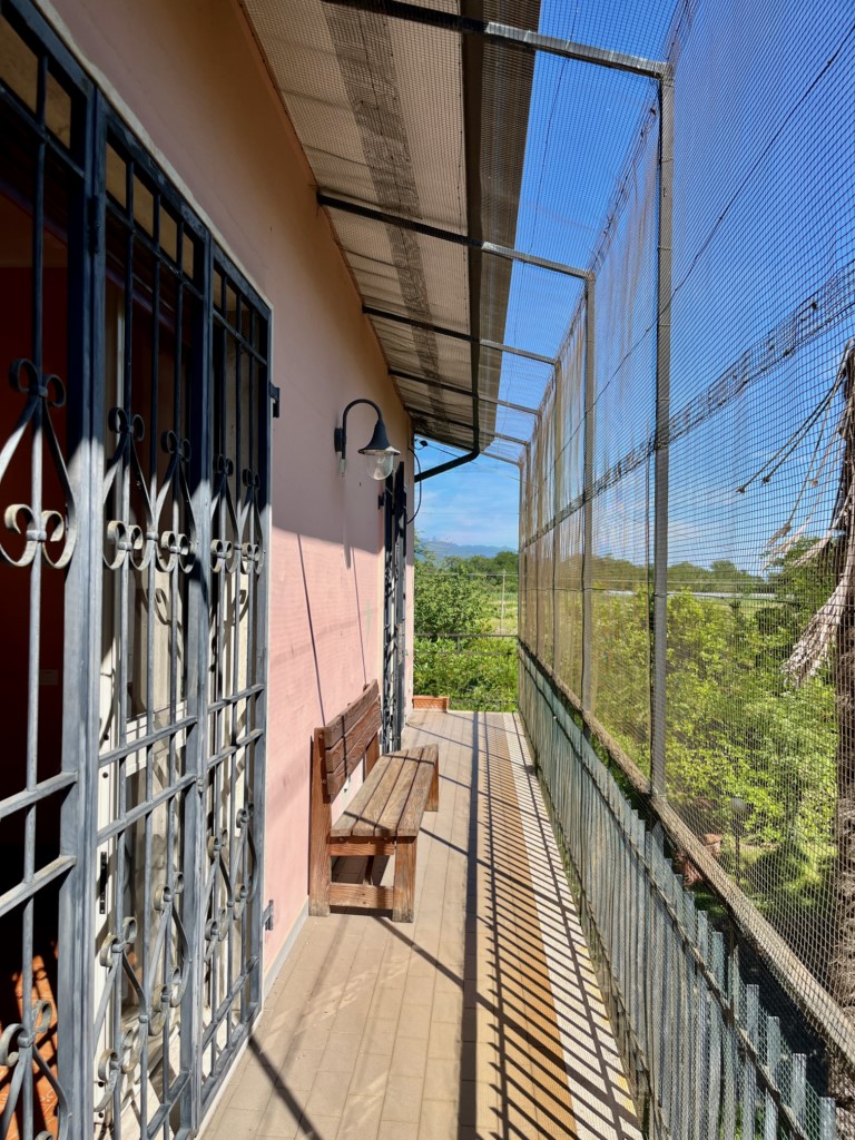 Foto: Unifamiliare Villa in VENDITA a Sarzana BRADIOLA - 30